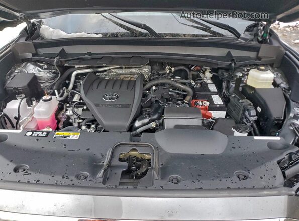 5TDAAAB50SS097488 2025 TOYOTA GRAND Gray Vista del compartimento del motor