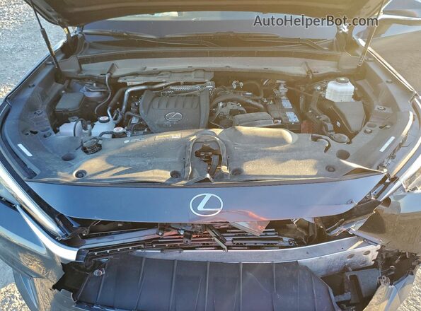 5TDAAAB60SS022847 2025 LEXUS TX Угольный Вид подкапотного пространства