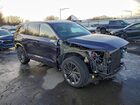 2025 Lexus Tx 350 Base Blue vin: 5TDAAAB61SS040774