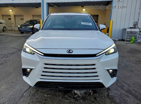 5TDAAAB65SS035576 2025 LEXUS TX Белый Вид спереди