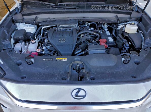 5TDAAAB65SS035576 2025 LEXUS TX Белый Вид подкапотного пространства