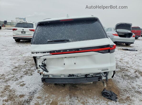 5TDABAB66TS016789 2026 LEXUS TX White Widok z tyłu