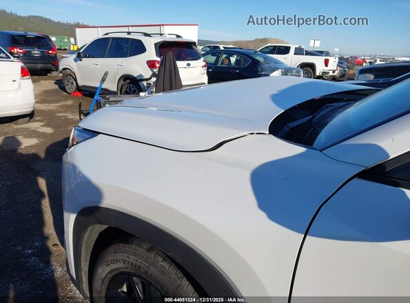 5TDACAB5XSS036904 2025 TOYOTA HIGHLANDER HYBRID White Widok z przodu