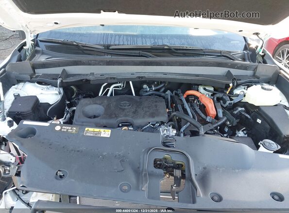 5TDACAB5XSS036904 2025 TOYOTA HIGHLANDER HYBRID White Widok z tyłu