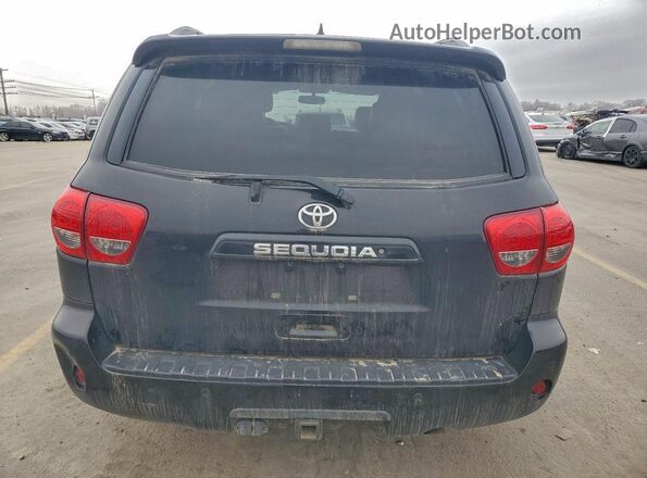 5TDBY5G12GS145643 2016 TOYOTA SEQUOIA Серый Вид сзади