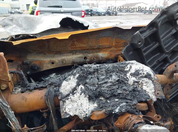 5TDCZRBH1LS518520 2020 TOYOTA HIGHLANDER Белый Вид задних сидений