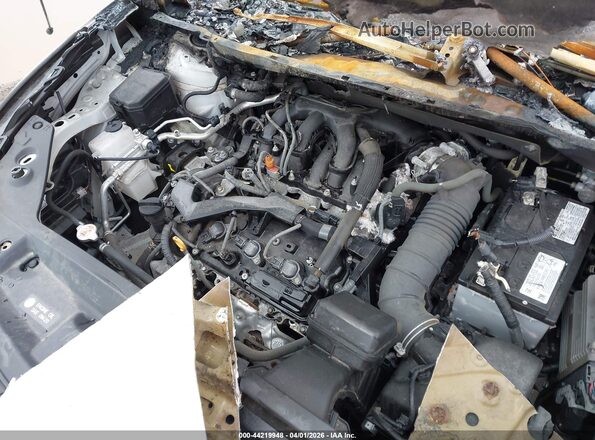 5TDCZRBH1LS518520 2020 TOYOTA HIGHLANDER Белый Вид сзади