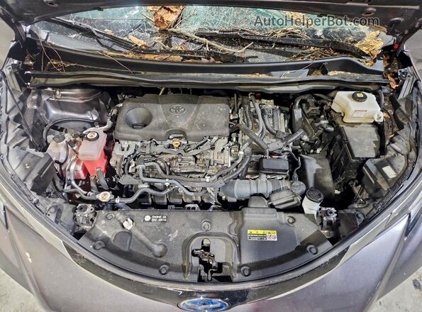 5TDDRKEC6MS002344 2021 TOYOTA SIENNA Gray Vista del compartimento del motor