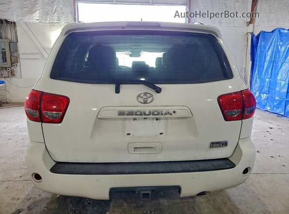 5TDZY5G19GS065478 2016 TOYOTA SEQUOIA White Widok z tyłu