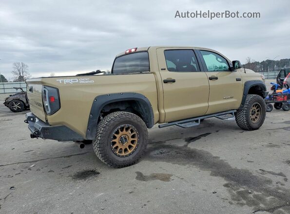 5TFDW5F16HX609965 2017 TOYOTA TUNDRA Желто-коричневый Задняя правая четверть