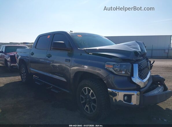 5TFDY5F13KX842994 2019 TOYOTA TUNDRA Gray Vista interior trasera