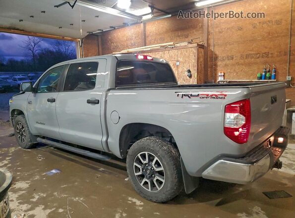 5TFDY5F1XKX859145 2019 TOYOTA TUNDRA Gray Trasero izquierdo