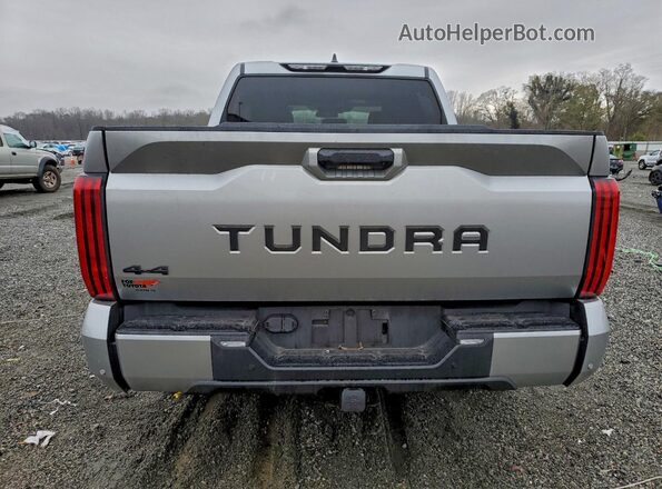 5TFLA5DB1RX184680 2024 TOYOTA TUNDRA Серебряный Вид сзади