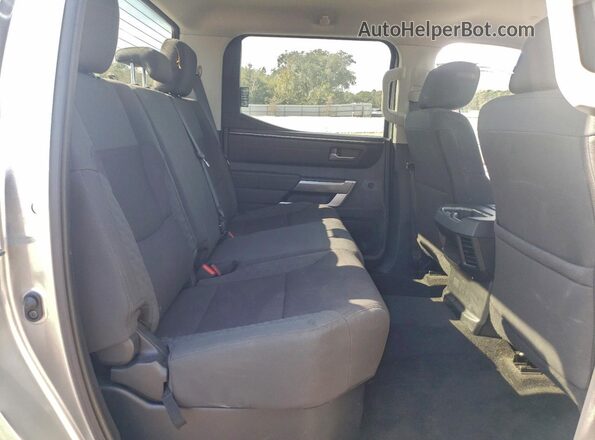 5TFLA5DB2PX115395 2023 TOYOTA TUNDRA Серебряный Вид задних сидений