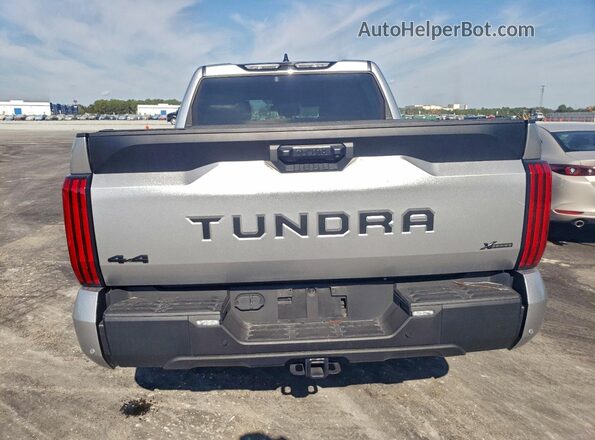 5TFLA5DB2PX115395 2023 TOYOTA TUNDRA Серебряный Вид сзади