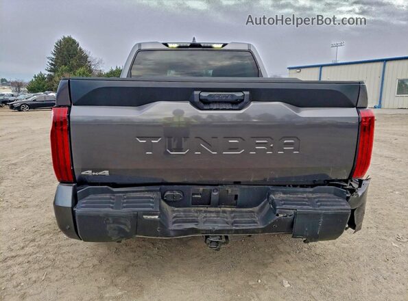 5TFLA5DB8SX266279 2025 TOYOTA TUNDRA Угольный Вид сзади