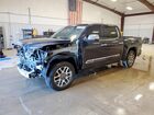 2024 Toyota Tundra Crewmax Platinum Blue vin: 5TFMA5AB3RX032666