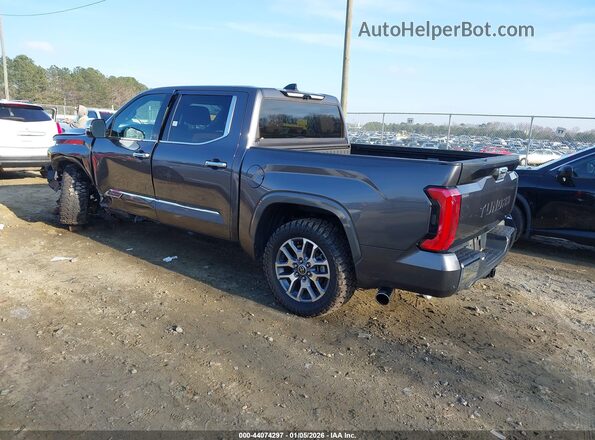 5TFMA5ABXPX024917 2023 TOYOTA TUNDRA Gray Հետևի ձախ
