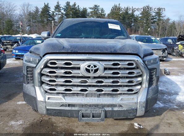 5TFMA5DBXPX078763 2023 TOYOTA TUNDRA Gray უკანა სალონის ხედი