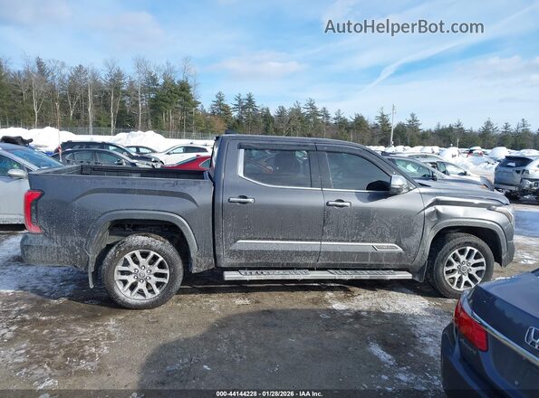 5TFMA5DBXPX078763 2023 TOYOTA TUNDRA Gray სალონის 360-გრადუსიანი ხედი