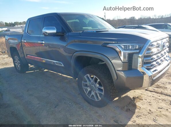 5TFMC5DB0RX077490 2024 TOYOTA TUNDRA HYBRID Gray Передня права чверть