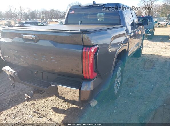 5TFMC5DB0RX077490 2024 TOYOTA TUNDRA HYBRID Gray Задня права чверть