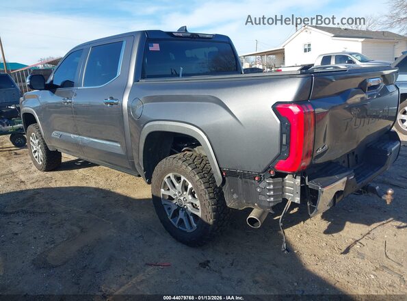 5TFMC5DB0RX077490 2024 TOYOTA TUNDRA HYBRID Gray Задня ліва чверть