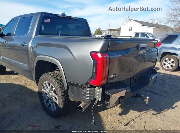 5TFMC5DB0RX077490 2024 TOYOTA TUNDRA HYBRID Gray Вид спереду