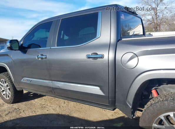 5TFMC5DB0RX077490 2024 TOYOTA TUNDRA HYBRID Gray Панорамний вид салону 360°