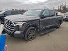 2023 Toyota Tundra Crewmax Platinum Gray vin: 5TFNA5DB0PX105960