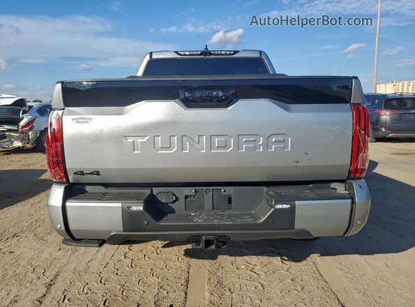 5TFNA5DB0SX285952 2025 TOYOTA TUNDRA Серебряный Вид сзади