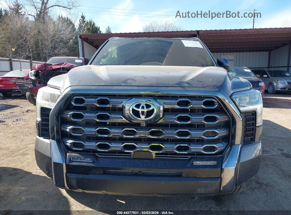 5TFNA5DB1SX296250 2025 TOYOTA TUNDRA Серый Вид задней части салона