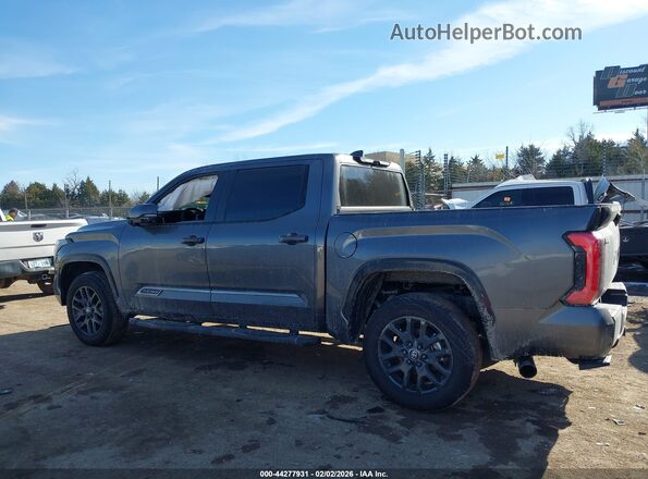 5TFNA5DB1SX296250 2025 TOYOTA TUNDRA Серый 