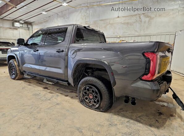 5TFPC5DB2PX019536 2023 TOYOTA LIMITED Gray Trasero izquierdo
