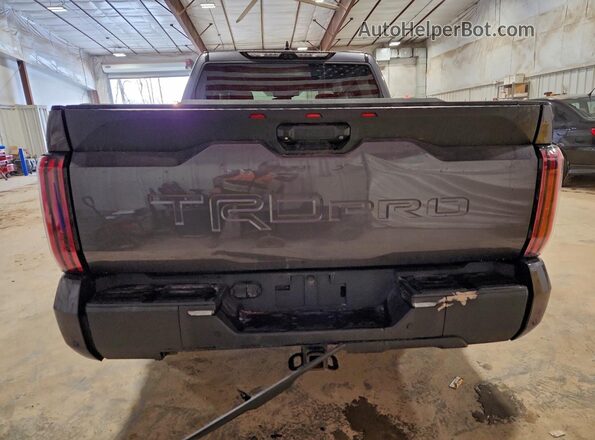 5TFPC5DB2PX019536 2023 TOYOTA LIMITED Gray Vista trasera