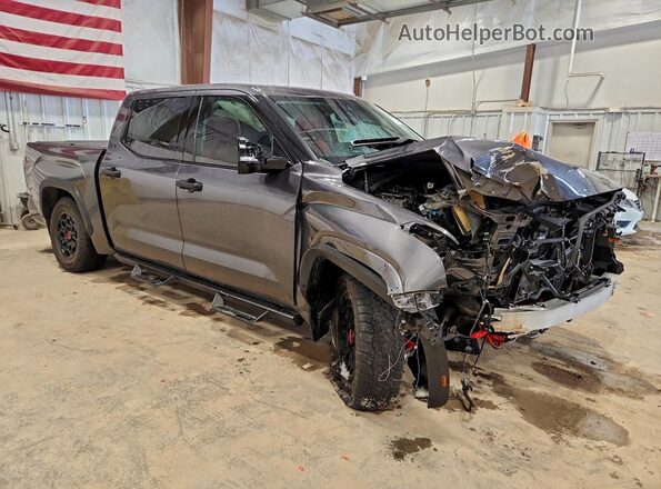 5TFPC5DB2PX019536 2023 TOYOTA LIMITED Gray Delantero derecho