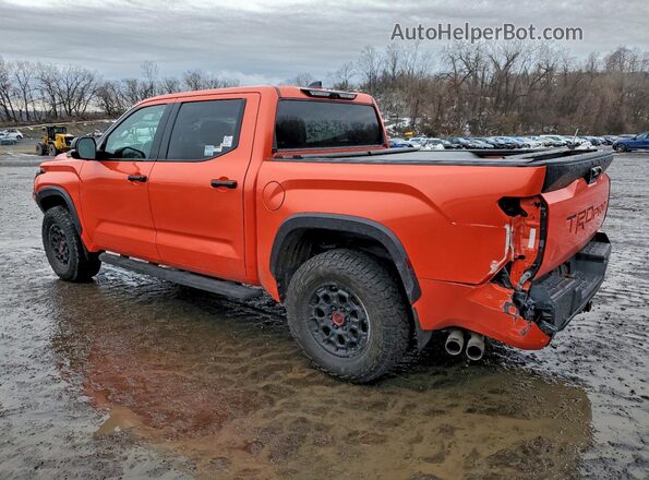 5TFPC5DB3NX005125 2022 TOYOTA LIMITED Оранжевый Задняя левая четверть
