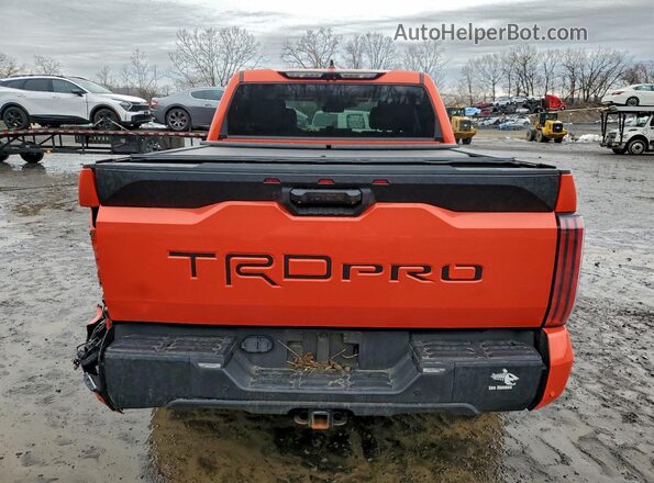 5TFPC5DB3NX005125 2022 TOYOTA LIMITED Оранжевый Вид сзади