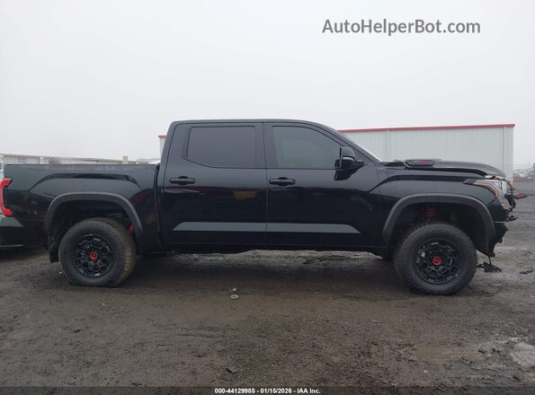 5TFPC5DB5PX030854 2023 TOYOTA TUNDRA HYBRID Черный Панорамный вид салона 360°