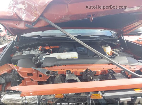 5TFPC5DB9RX045098 2024 TOYOTA TUNDRA HYBRID Orange Вид ззаду