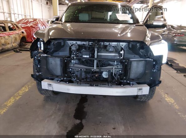 5TFVC5DB8RX070436 2024 TOYOTA TUNDRA HYBRID Серый Вид спереди