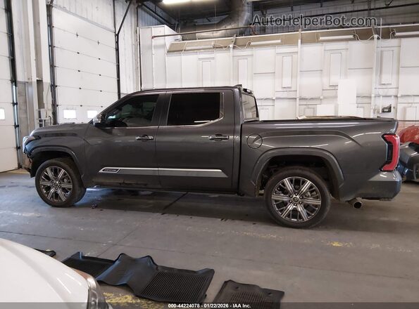 5TFVC5DB8RX070436 2024 TOYOTA TUNDRA HYBRID Серый 