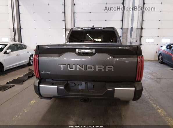 5TFVC5DB8RX070436 2024 TOYOTA TUNDRA HYBRID Серый 