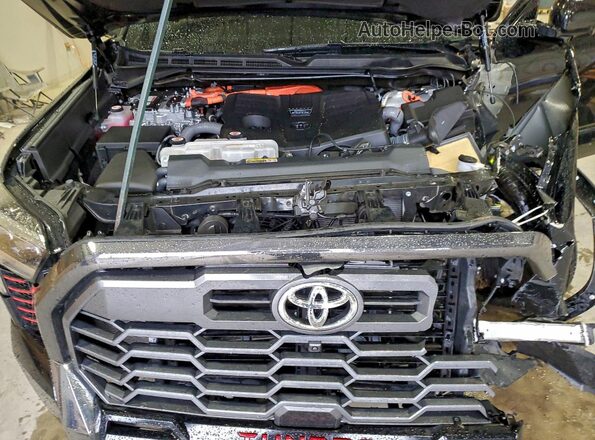 5TFWC5DB0SX090593 2025 TOYOTA LIMITED Черный Вид задней части салона