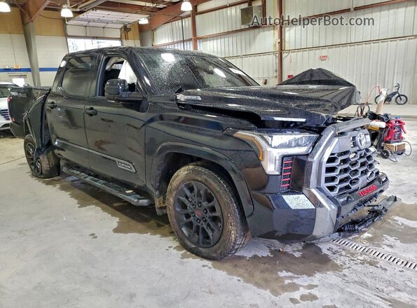 5TFWC5DB0SX090593 2025 TOYOTA LIMITED Черный Передняя правая четверть