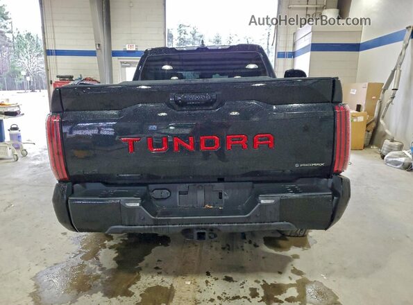 5TFWC5DB0SX090593 2025 TOYOTA LIMITED Черный Вид сзади