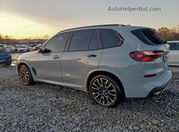 5UX13EU04R9V57665 2024 BMW X5 Серый Задняя левая четверть