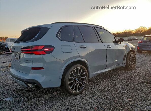 5UX13EU04R9V57665 2024 BMW X5 Серый Задняя правая четверть