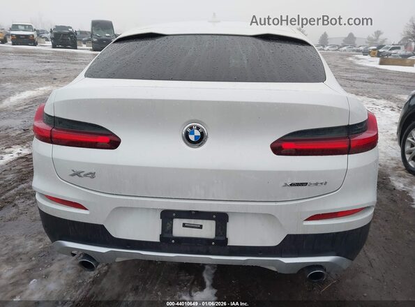 5UX2V1C01L9B85429 2020 BMW X4 Белый 