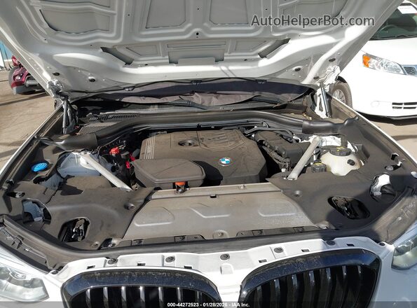 5UX2V1C04M9D87893 2021 BMW X4 Белый Вид сзади